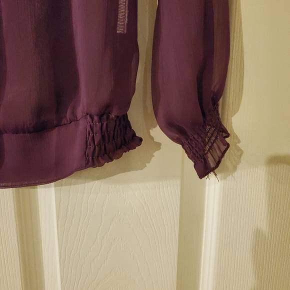 Bedo Sheer Long Sleeve Blouse in Plum - Picture 2 of 6